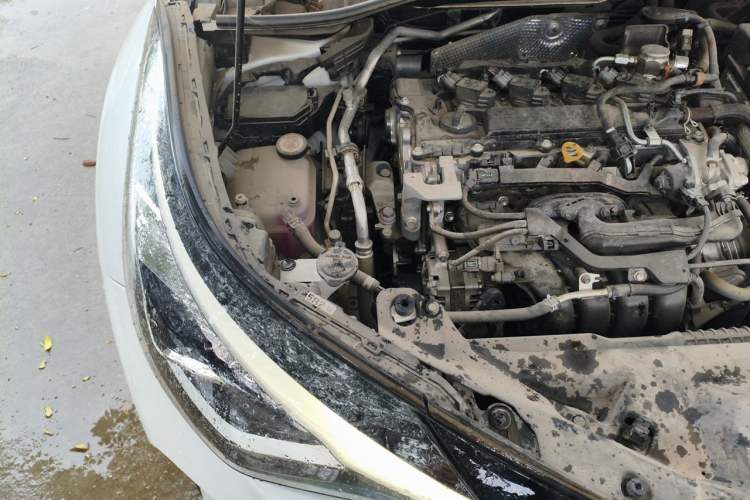 Used Toyota C-HR 2023 2.0L Leading Edition Engine Bay Right