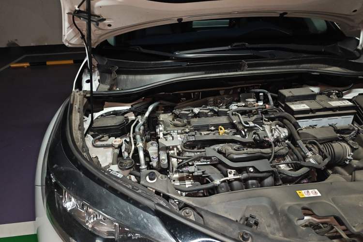 Used Toyota C-HR 2023 2.0L Leading Edition Engine Bay Right