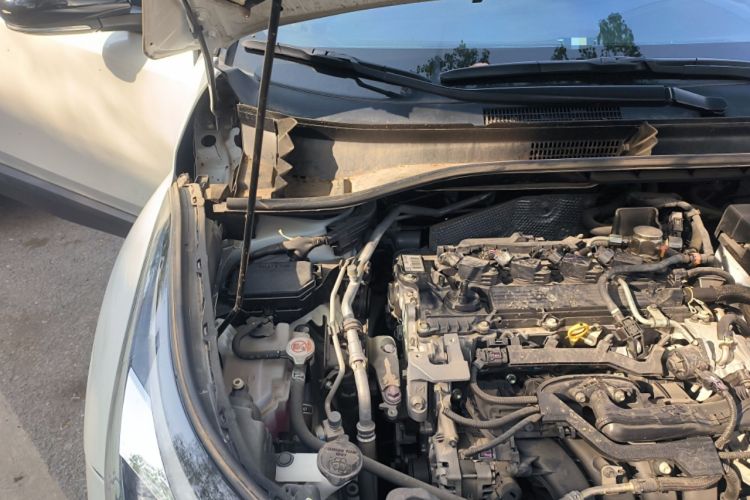 Used Toyota C-HR 2023 2.0L Luxury Edition Engine Bay Right