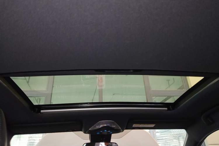 Used Toyota C-HR EV 2020 Deluxe Sunroof Edition Headliner