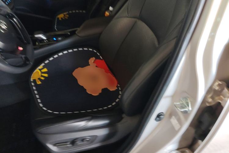 Used Toyota C-HR EV 2020 Deluxe Sunroof Edition Left Front Seat