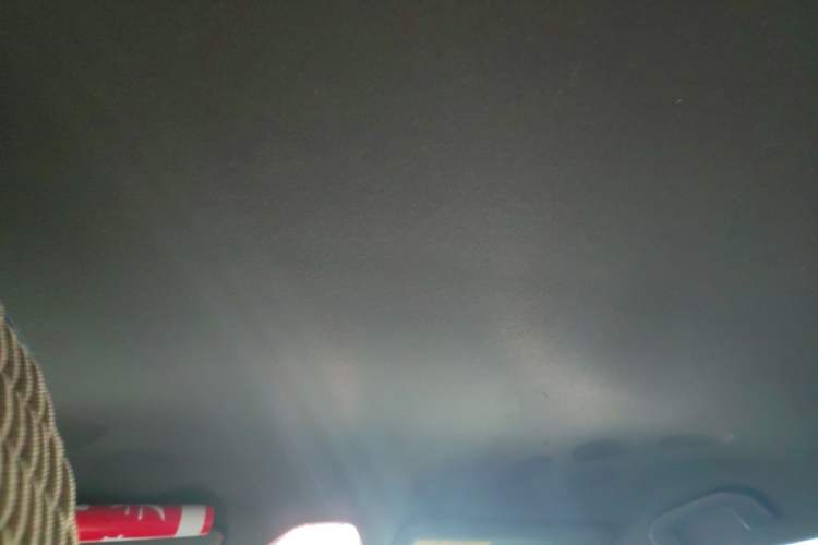 Used Toyota C-HR EV 2020 Leading Edition Headliner