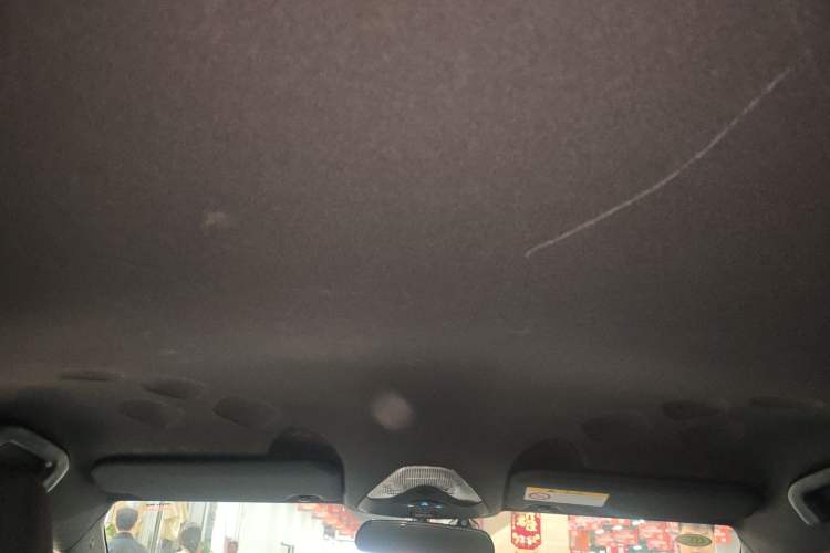 Used Toyota C-HR EV 2020 Leading Edition Headliner