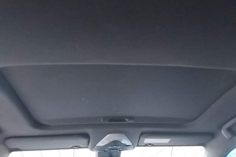 Used Toyota C-HR EV 2020 Luxury Sunroof Edition Headliner
