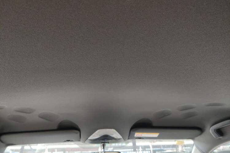 Used Toyota C-HR EV 2020 Leading Edition Headliner