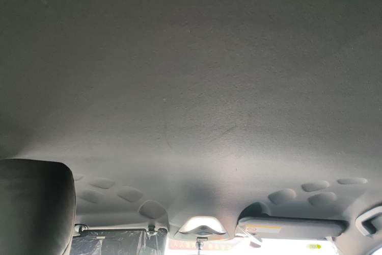 Used Toyota C-HR EV 2020 Leading Edition Headliner