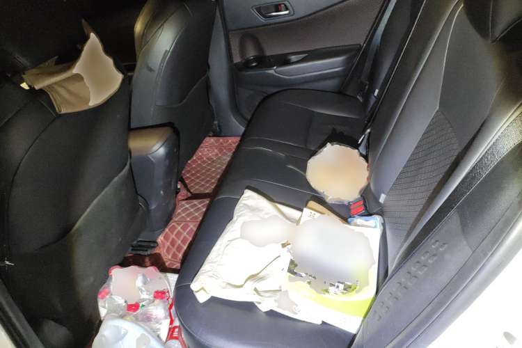 Used Toyota C-HR EV 2020 Deluxe Sunroof Edition Left Rear Seat