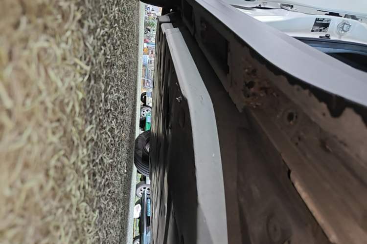Used Toyota C-HR EV 2020 Leading Edition Right Side Sill
