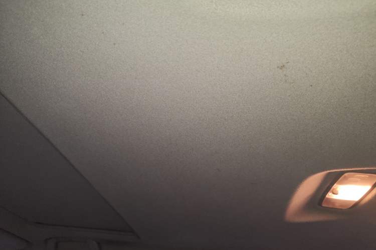 Used Toyota Camry 2007 240V Supreme Edition Headliner