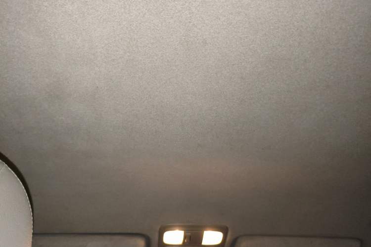 Used Toyota Camry 2009 200E Elite Edition Headliner