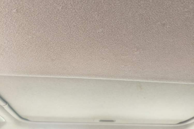 Used Toyota Camry 2009 240G Luxury Edition Headliner