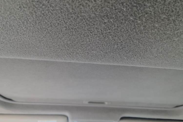 Used Toyota Camry 2009 240G NAVI Luxury Navigation Edition Headliner