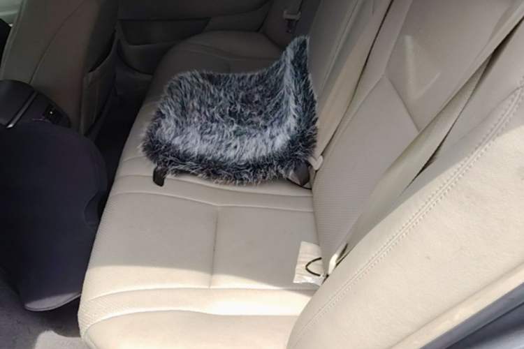 Used Toyota Camry 2009 240E Elite Edition Left Rear Seat