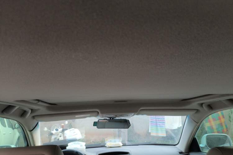 Used Toyota Camry 2009 200G Luxury Edition Headliner