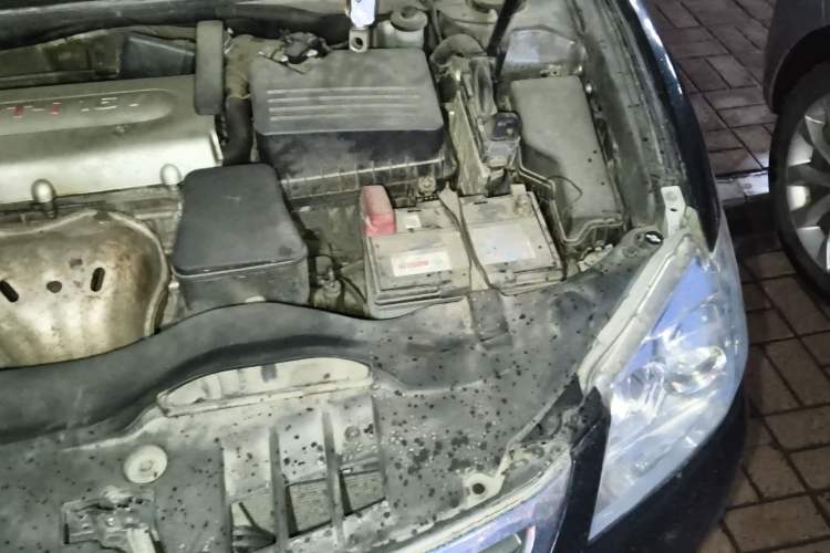 Used Toyota Camry 2010 200G Classic Edition Engine Bay Left