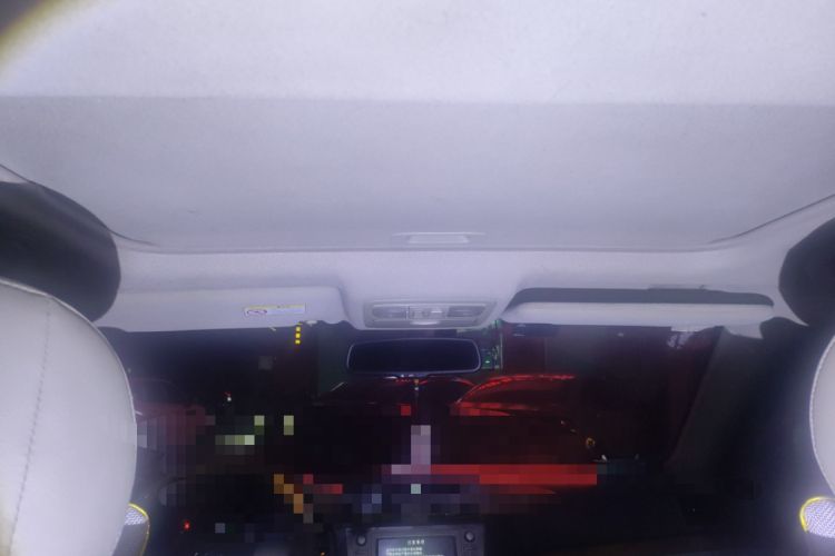 Used Toyota Camry 2010 240HG Luxury Edition Headliner