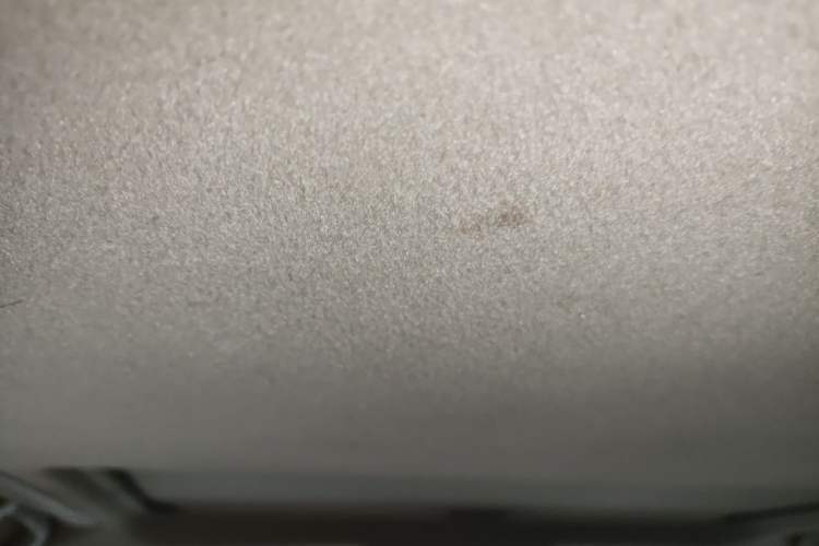 Used Toyota Camry 2010 240G Classic Edition Headliner