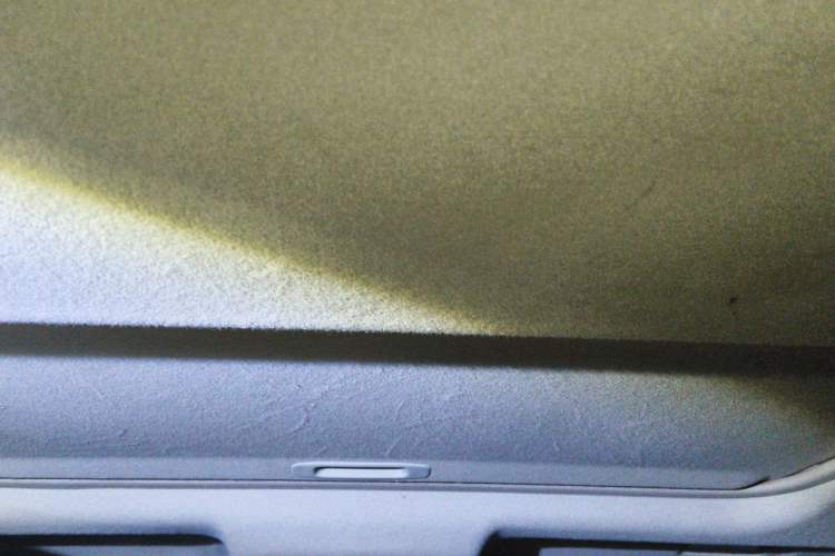 Used Toyota Camry 2010 200G Luxury Edition Headliner
