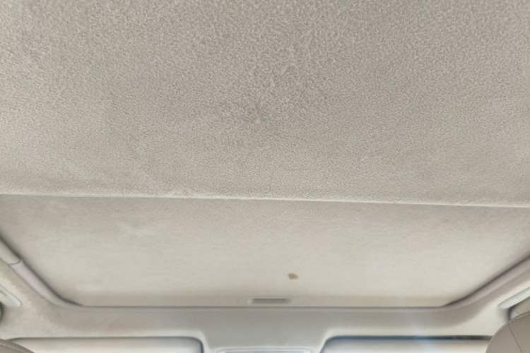 Used Toyota Camry 2010 240G Luxury Edition Headliner
