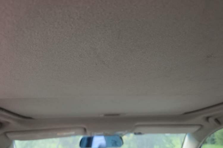 Used Toyota Camry 2011 240G Classic Anniversary Edition Headliner