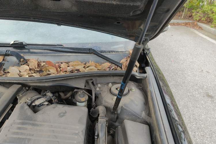 Used Toyota Camry 2012 Junrui 2.0S Radiant Edition Engine Bay Left