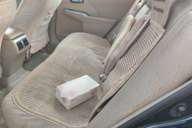 Used Toyota Camry 2012 Junrui 2.0S Radiant Edition Left Rear Seat