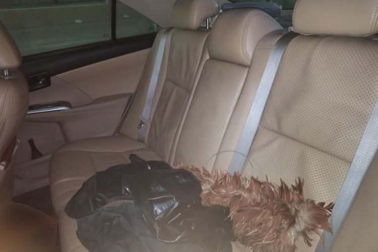 Used Toyota Camry 2012 Junrui 2.0S Radiant Edition Left Rear Seat