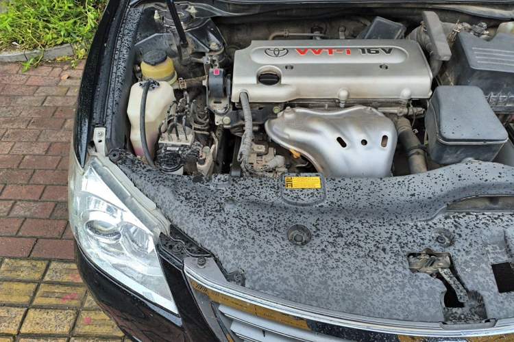 Used Toyota Camry 2013 200G Classic Luxury Edition Engine Bay Right
