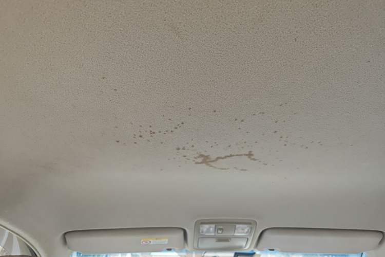 Used Toyota Camry 2013 200E Classic Elite Edition Headliner