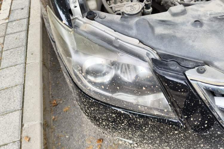 Used Toyota Camry 2013 200G Classic Luxury Edition Right Front Headlight