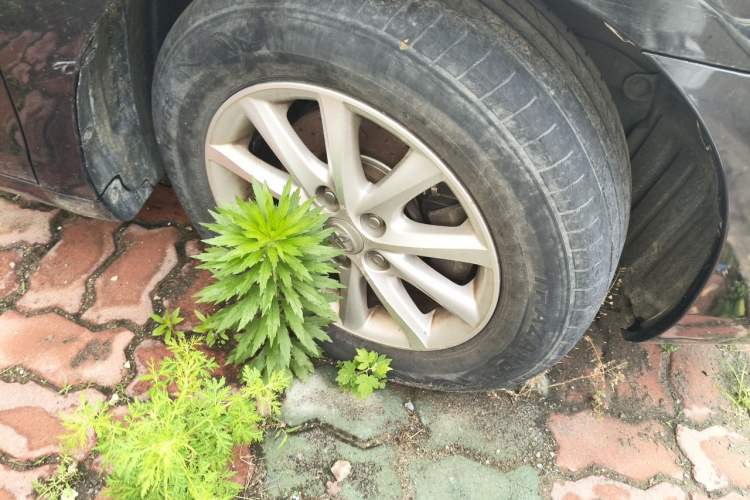 Used Toyota Camry 2013 200G Classic Luxury Edition Right Front Wheel Hub