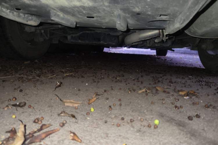 Used Toyota Camry 2015 2.0G Premier Edition Chassis Rear