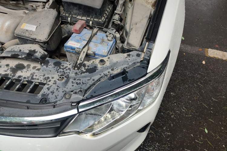 Used Toyota Camry 2015 2.0G Premier Edition Engine Bay Left