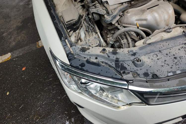 Used Toyota Camry 2015 2.0G Premier Edition Engine Bay Right