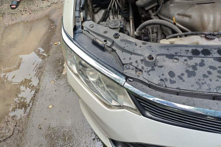 Used Toyota Camry 2015 2.0G Premier Edition Right Front Headlight