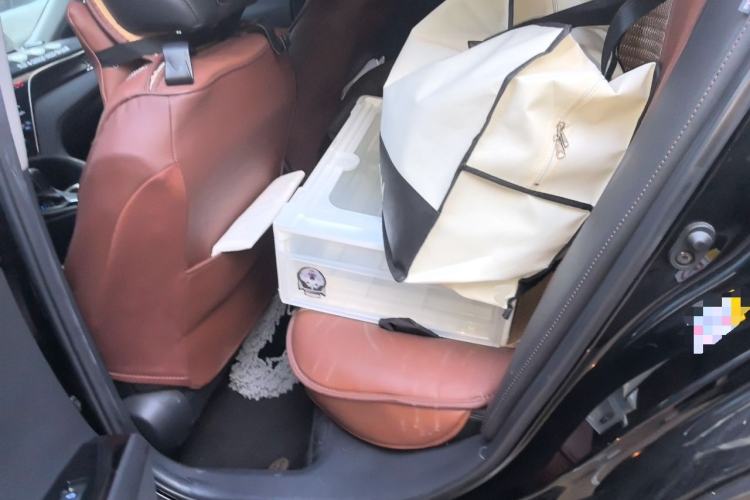 Used Toyota Camry 2018 2.5G Luxury Edition Left Rear Seat