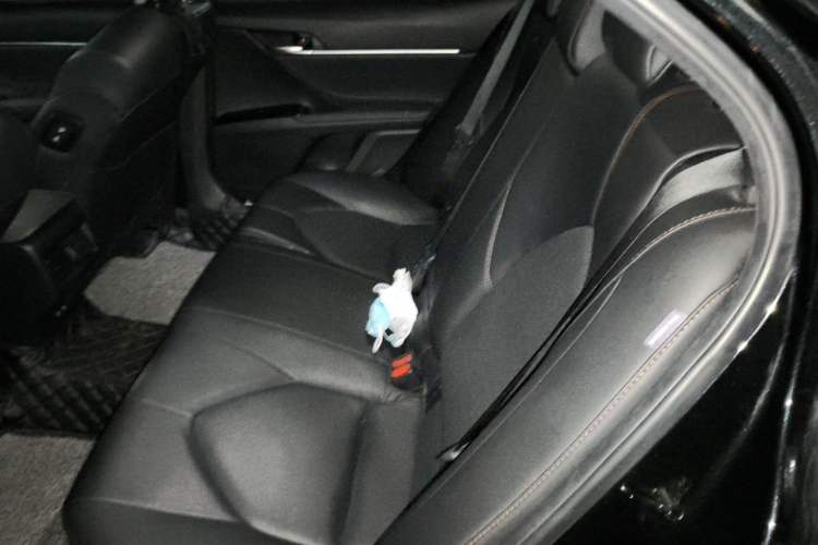 Used Toyota Camry 2019 2.5G Luxury Edition China V Standard Left Rear Seat