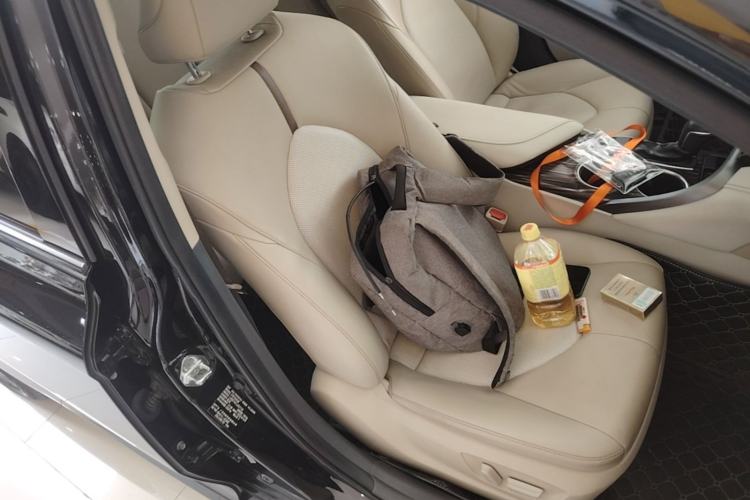 Used Toyota Camry 2019 Revised Version 2.0G Luxury Edition Right Front Seat