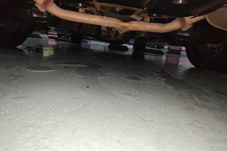 Used Toyota Camry 2019 2.5S FENGSHANG Version China VI Standard Chassis Rear