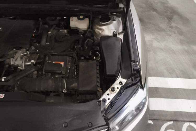 Used Toyota Camry 2019 Revised Version Dual-Engine 2.5 HG Luxury Edition Engine Bay Left