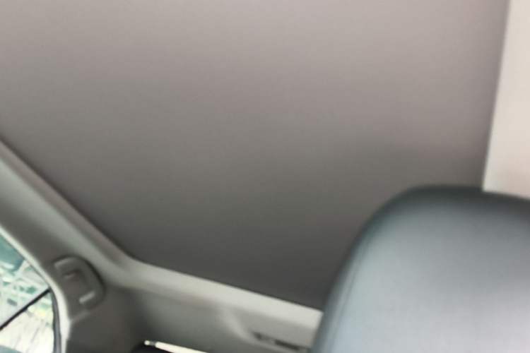 Used Toyota Camry 2019 Revised Version 2.5G Luxury Edition Headliner