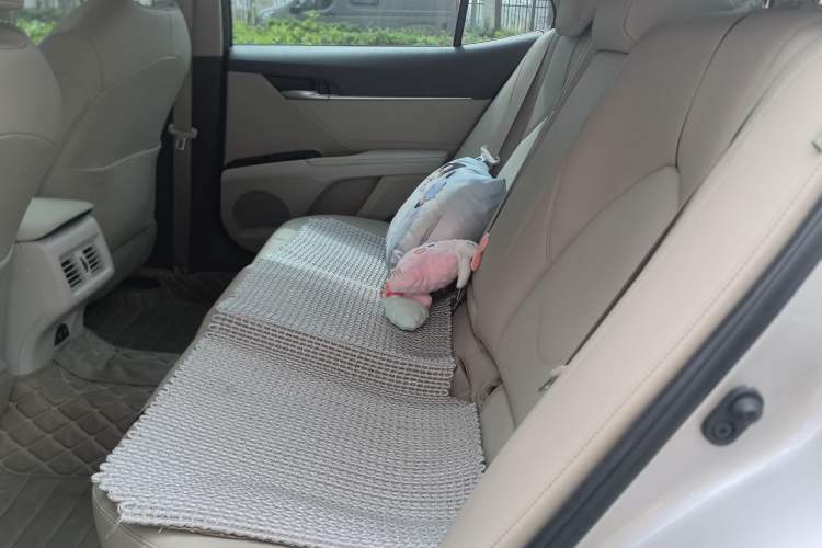 Used Toyota Camry 2019 Revised Version 2.0G Luxury Edition Left Rear Seat