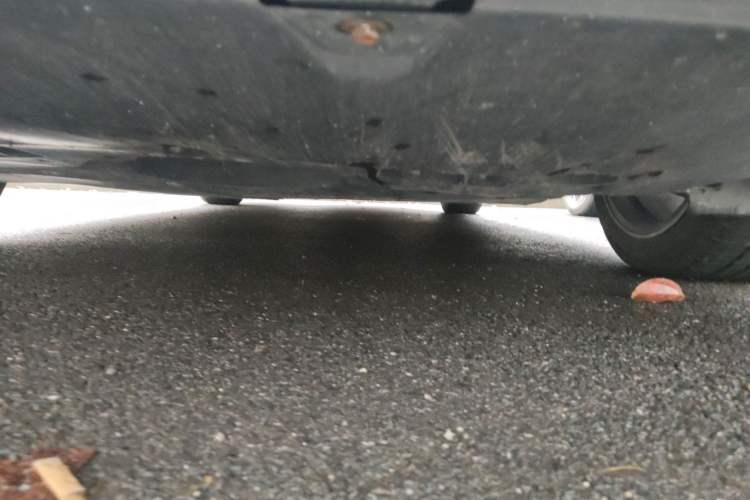 Used Toyota Camry 2019 2.5S FENGSHANG Version China VI Standard Chassis Front
