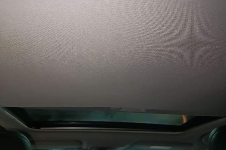 Used Toyota Camry 2019 Revised Version 2.0G Luxury Edition Headliner