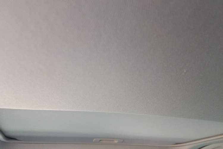 Used Toyota Camry 2019 2.0G Luxury Edition China VI Standard Headliner