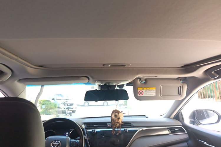 Used Toyota Camry 2019 2.5S FENGSHANG Version China VI Standard Headliner