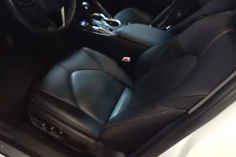 Used Toyota Camry 2019 Revised Version 2.0G Luxury Edition Left Front Seat