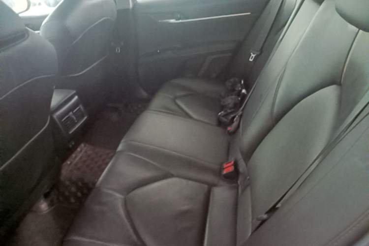 Used Toyota Camry 2019 Revised Version 2.0G Luxury Edition Left Rear Seat