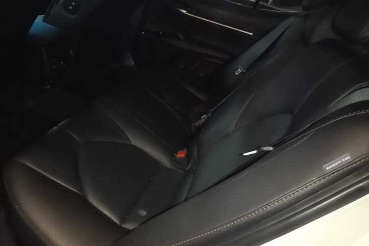 Used Toyota Camry 2019 Revised Version 2.0G Luxury Edition Left Rear Seat