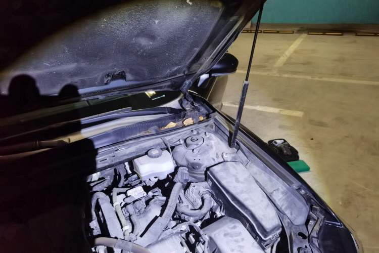 Used Toyota Camry 2021 Dual-Motor 2.5HG Luxury Edition Engine Bay Left